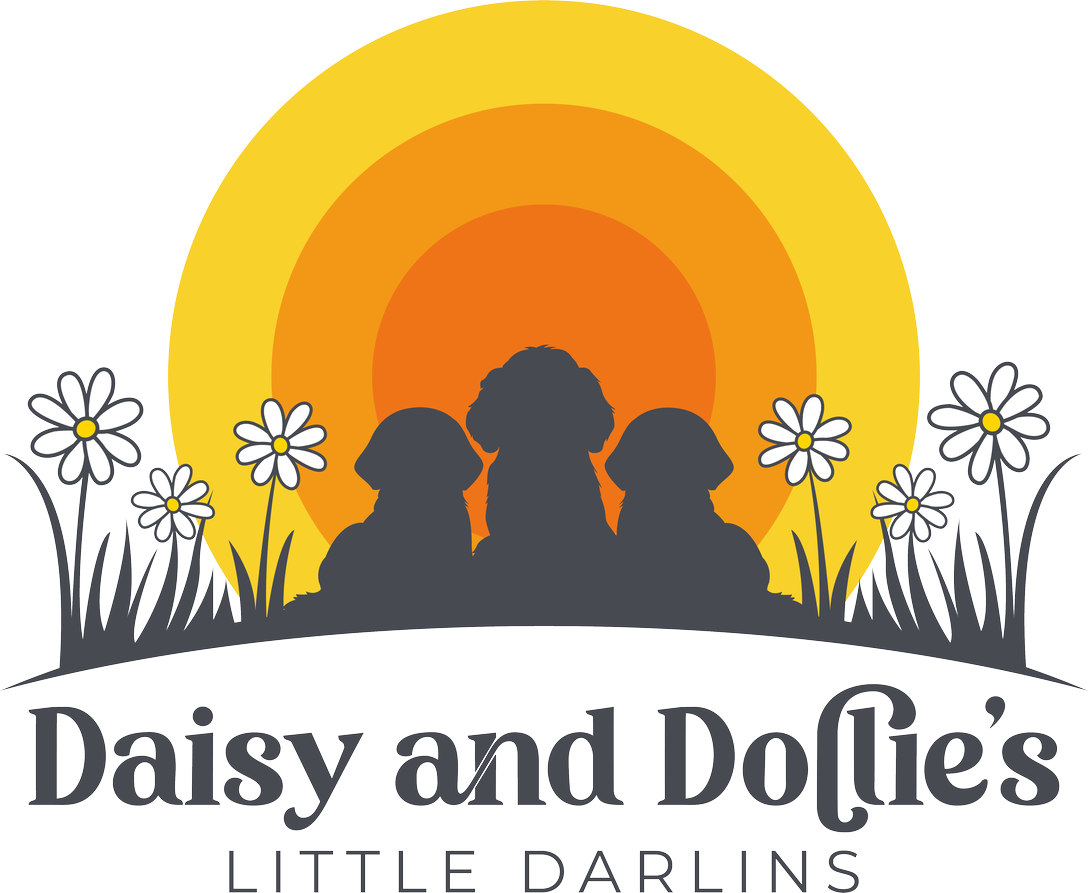 Daisy and doolie's little parlins logo.